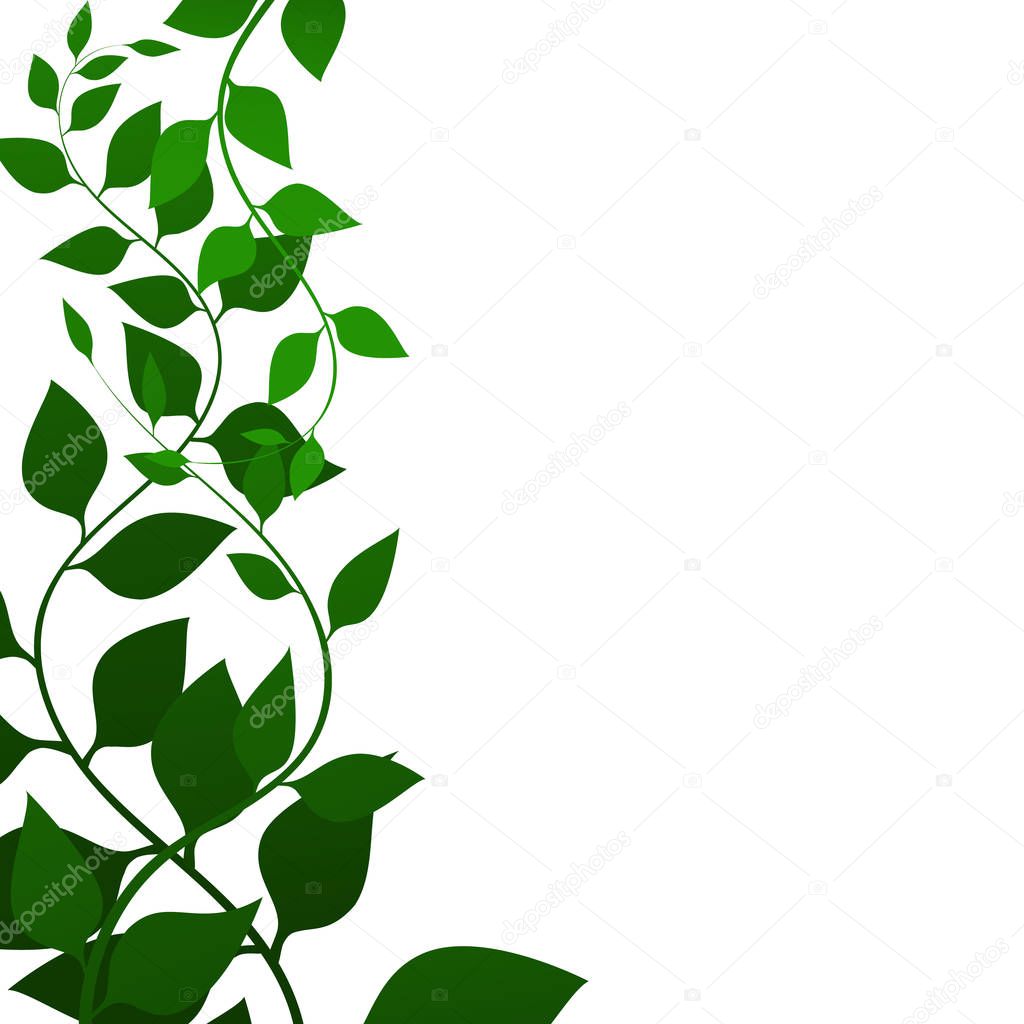 Background with green leaves, vector illustration. Fine