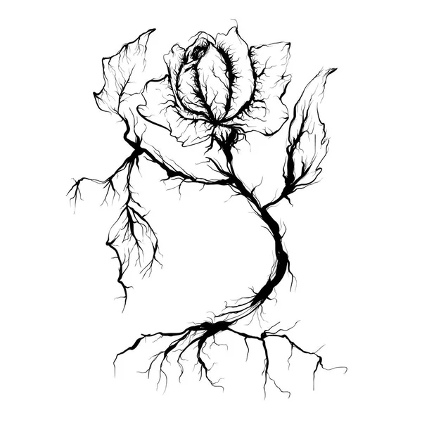 Fiore astratto con radici-vene, illustrazione vettoriale. Fiore — Vettoriale Stock