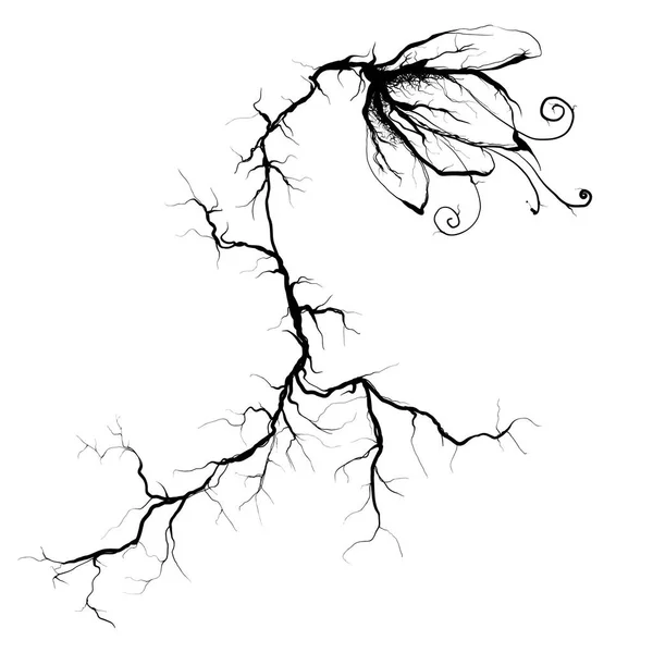 Fiore astratto con radici-vene, illustrazione vettoriale. schizzo — Vettoriale Stock