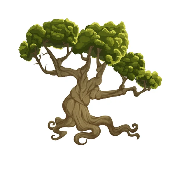 Roble sobre fondo blanco, ilustración del árbol. Árbol con hojas — Vector de stock