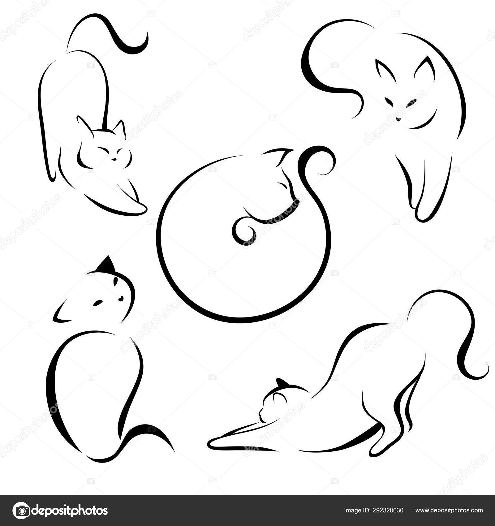 Conjunto Silhuetas Lineares Gato Preto Branco Linha Contorno Bonito Desenho  imagem vetorial de worldofvector© 522189176