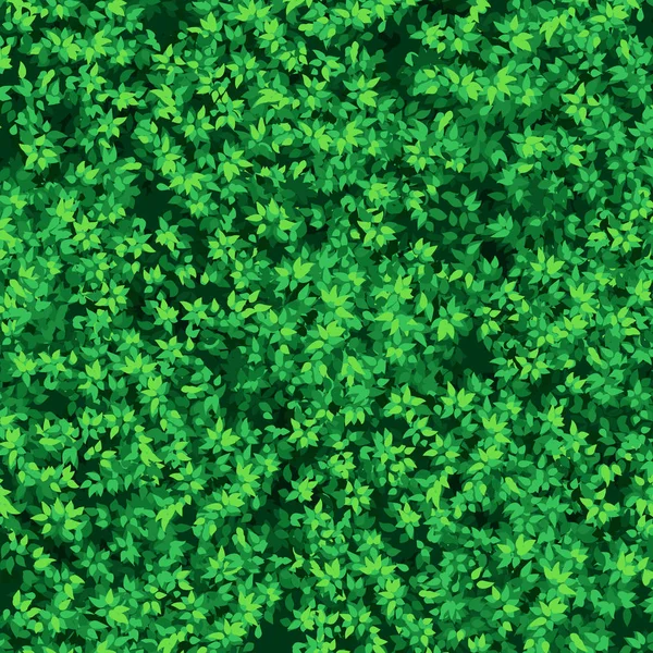 Parete di foglie verdi, vettore su bianco. fogliame denso — Vettoriale Stock