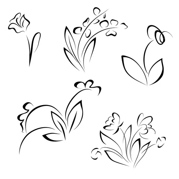 Fiori astratti. Immagine line art. vettore schizzo — Vettoriale Stock