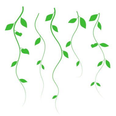 Ayrı dallar, vektör. İnce dallarda yeşil yapraklar. İnce dallar