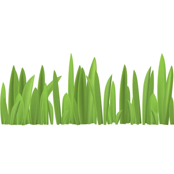 Spring grass on white background, without borders, vector — Stock Vector