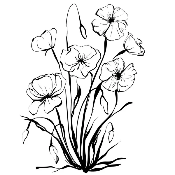Dibujo de amapolas, flores vectoriales, flores abstractas sobre un fondo blanco. amapolas vectoriales — Archivo Imágenes Vectoriales