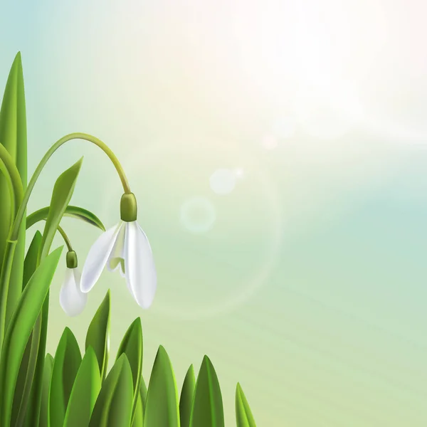 Vector, fondo primaveral con flores y hierba, luz solar , — Vector de stock