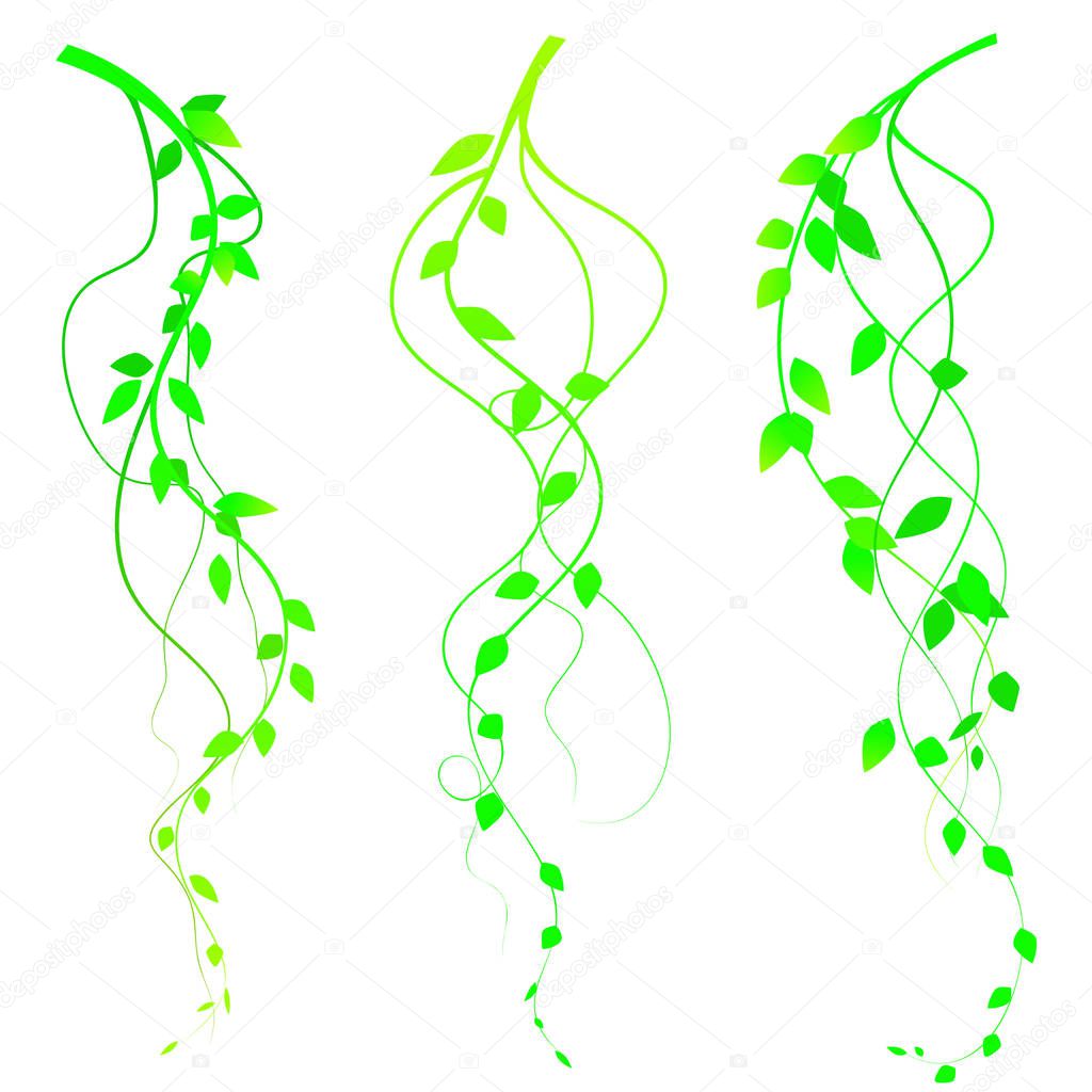 Intertwined branches with leaves isolated on white background, vector