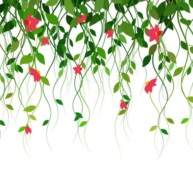 Lianas, yapraklar ve pembe çiçekler. Perde, vekto