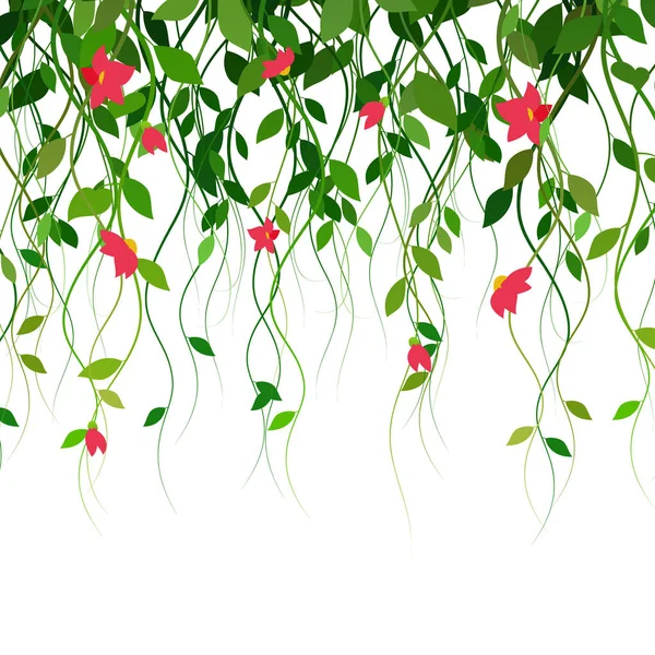 Lianas, yapraklar ve pembe çiçekler. Perde, vekto