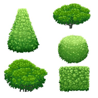 beyaz arka plan üzerinde farklı şekillerde çalılar, vektör