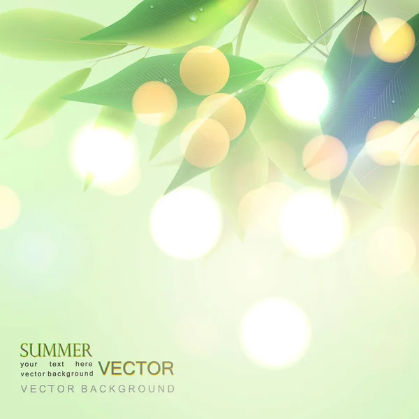 Fond vectoriel, feuillage et lumière du soleil, bokeh, vecteur — Image vectorielle