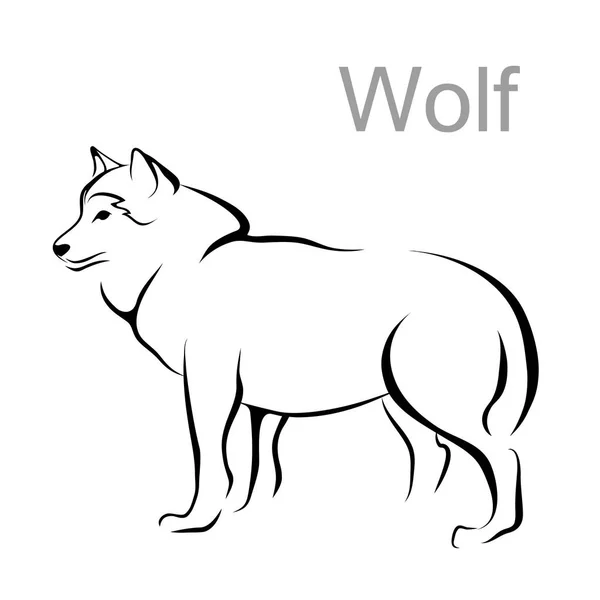 Kép egy farkas, vektor kép, tetoválás, kártya — Stock Vector