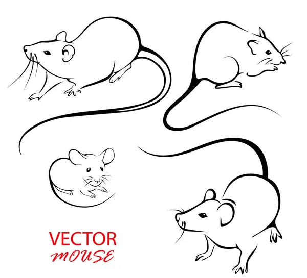 Gezeichnete Mäuse für den Entwurf. Bild von Ratten und Mäusen auf weißem Hintergrund. Die Kontur von Nagetieren. — Stockvektor