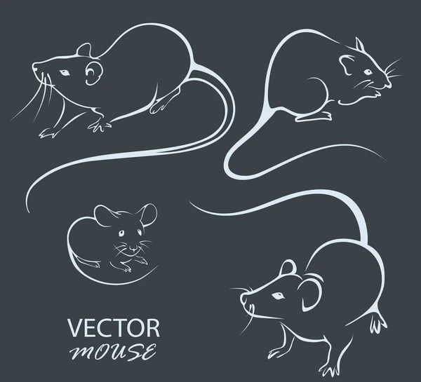 Egerek Tervezéshez Egy Kép Patkányokról Egerekről Sötét Háttérrel Rágcsálók Kontúrja — Stock Vector