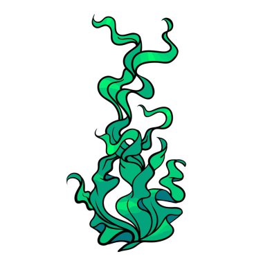 Beyaz arka planda yosun yaprakları var. Vektör tasarımı için nesneler. Kıvırcık yosunlar izole edildi. Vektör deniz santrali.