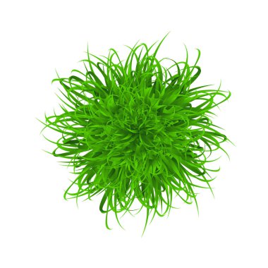 Çim topu. Vektör çizimi. Bir kasede yeşil çimen