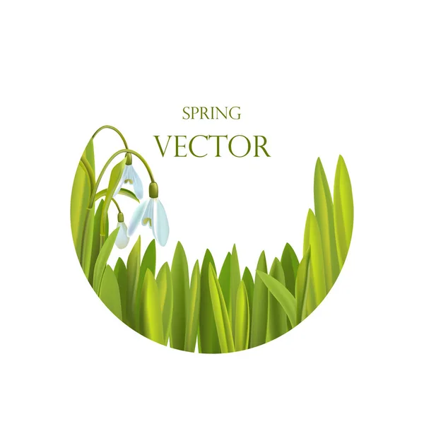 Весенний фон с цветами и травой, векторная иллюстрация. — стоковый вектор