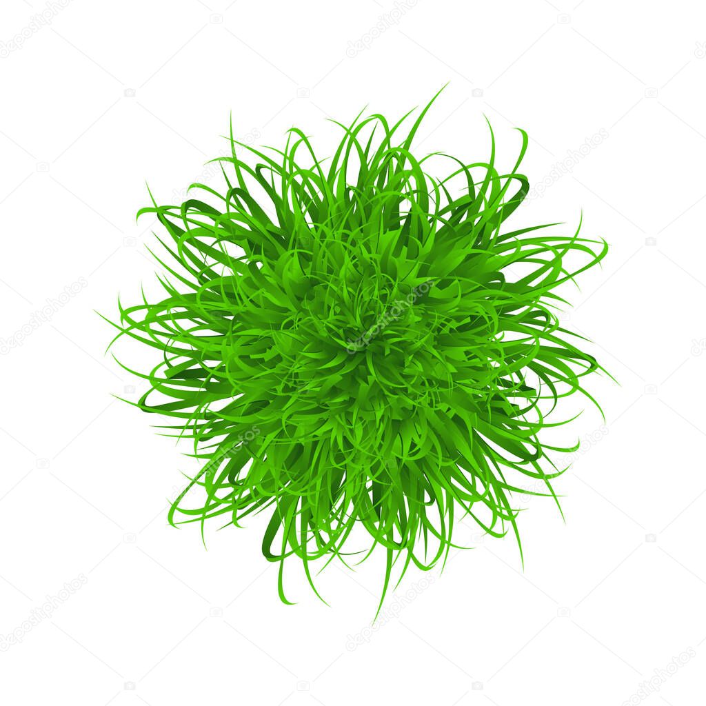 ball of grass. Vector illustration. Green grass in a bowl