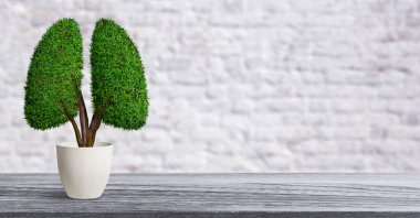 Lungs Shape Tree - Ekoloji kavramı