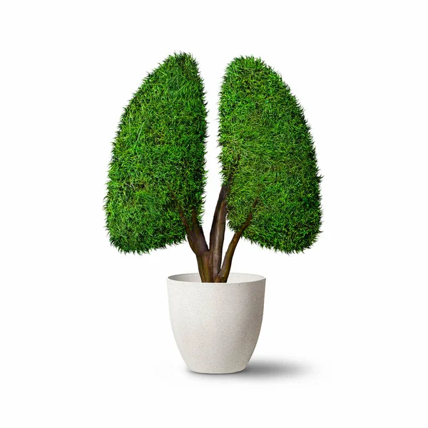 Lungs Shape Tree - Ecology concept — Stock Photo, Image