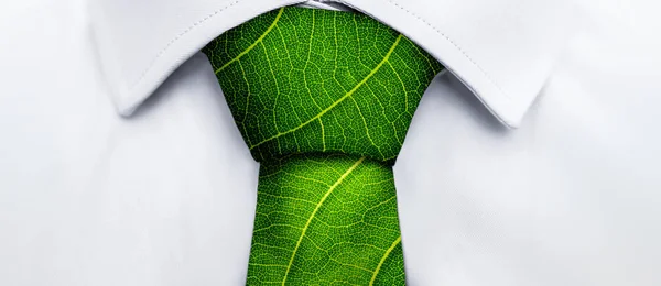 에코 컨셉, 녹색 잎 넥타이를 가진 사업가 로열티 프리 스톡 이미지