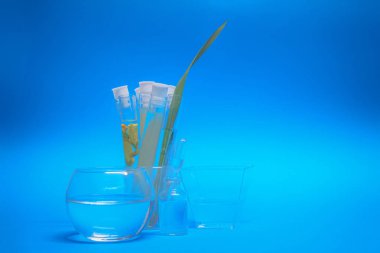 Test tüpleri ile sıvı ve bilimsel araştırma için bitki.