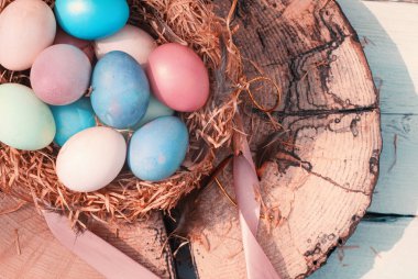 Mutlu Paskalya. Ahşap bir kütük üzerinde tüyler ve bir tebeşir kurulu ile bir yuva renkli Easters yumurta.