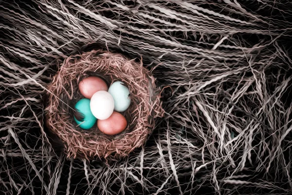 Veselé velikonoce. Barevná Enostasta vejce v hnízdě s peřím. — Stock fotografie