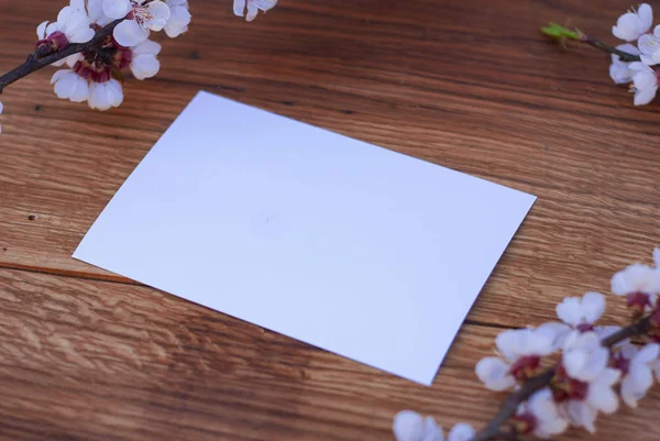 Realistic Mock up Postal Card with Blossom, on wooden background.