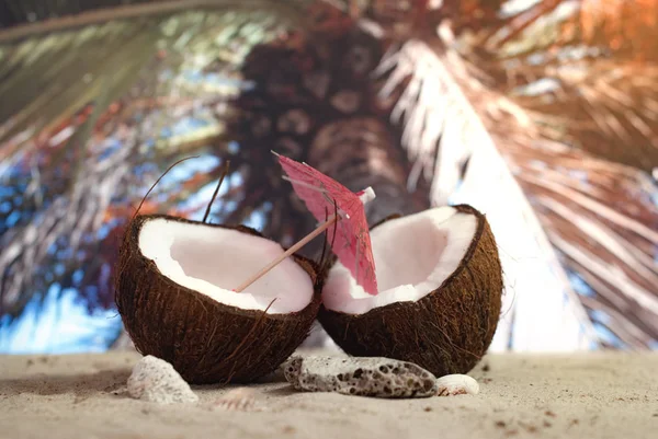 Hora de viajar. Duas metades de um coco com um guarda-chuva na praia contra o pano de fundo de uma folha de palmeira. Conceito sobre o tema do turismo . — Fotografia de Stock