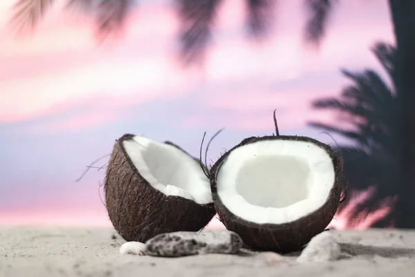 Tiempo para viajar. Dos mitades de coco en la playa al atardecer sobre el telón de fondo de palmeras y cielo. Concepto sobre el tema del turismo . —  Fotos de Stock