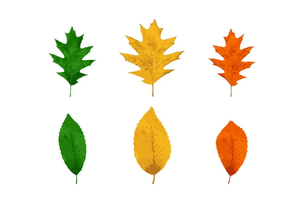 Zestaw jesiennych liści na białym tle. Płaska ilustracja wektorowa Eps10. — Wektor stockowy