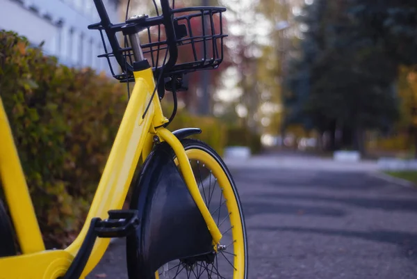 Fahrradverleih. Stadt gelbes Fahrrad auf einem Hintergrund von Laub in einem Herbsttag. — Stockfoto