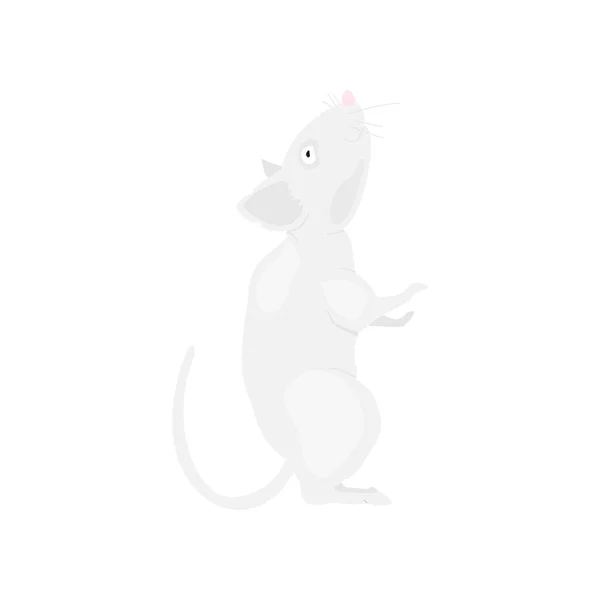 Gray rat symbol of the new year 2020 on a white background. Flat vector illustration EPS10 — Stock Vector