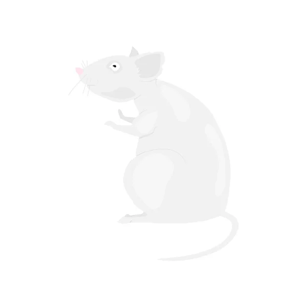 Gray rat symbol of the new year 2020 on a white background. Flat vector illustration EPS10 — Stock Vector