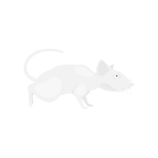 Gray rat symbol of the new year 2020 on a white background. Flat vector illustration EPS10 — Stock Vector