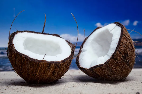 Tiempo Para Viajar Dos Mitades Coco Playa Contra Telón Fondo — Foto de Stock