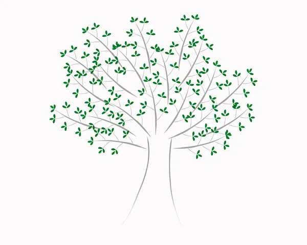 Big Green Tree Leaves — Stock Vector