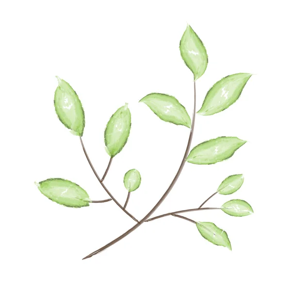 Zelené Listy Akvarel Hnědé Větvi — Stockový vektor