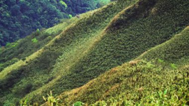 Dağlar ve vadiler, Bahçe Calla Lily ile Qixing dağ merkezi Yangmingshan Ulusal Park Evleri