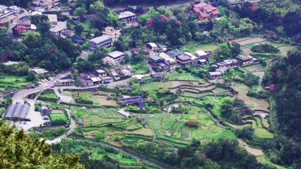 Góry Doliny Ogród Calla Lily Domów Liuting Górskich Centrum Yangmingshan — Wideo stockowe