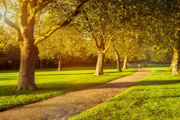 Hyde Park 'ın günbatımı köşesi Londra' nın merkezinde, İngiltere