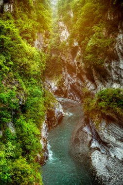 Taroko Vadisi ve Taroko Ulusal Parkı 'ndaki Jhuilu Eski Yolu' nun Manzarası, Hualien, Tayvan