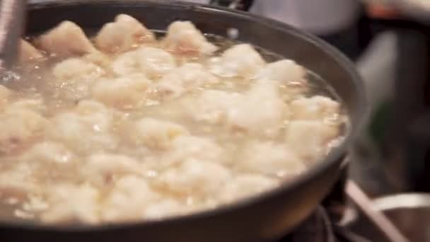 Cooking Dumplings Boiling Steaming Pot Water — Stock Video