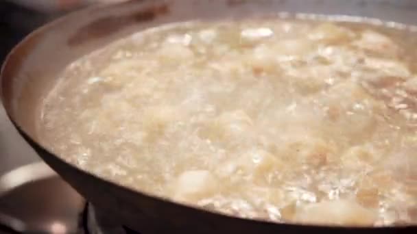 鍋水を沸騰 蒸す餃子 — ストック動画
