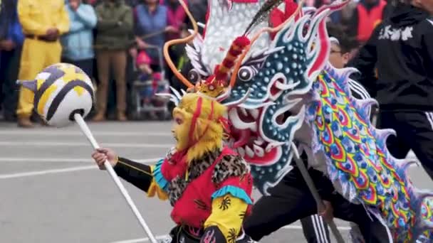 Miaoli Taiwan Fevereiro 2019 Cabeça Dragão Com Dança Leão Miaoli — Vídeo de Stock