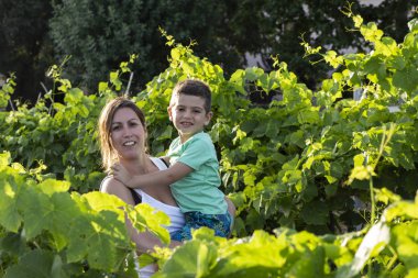Güzel genç bir anne ile oğlu üzüm alanında vakit geçiriyor. Bir kadın çocuğunu üzüm alan taşır..