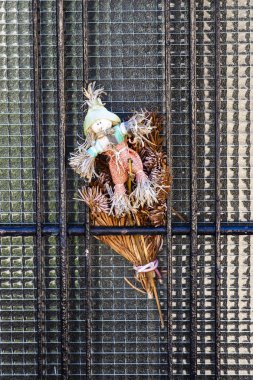 Bernese yavrusu ile küçük çocuk.