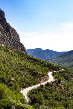 Ormanların tam bir vadi boyunca giden yol